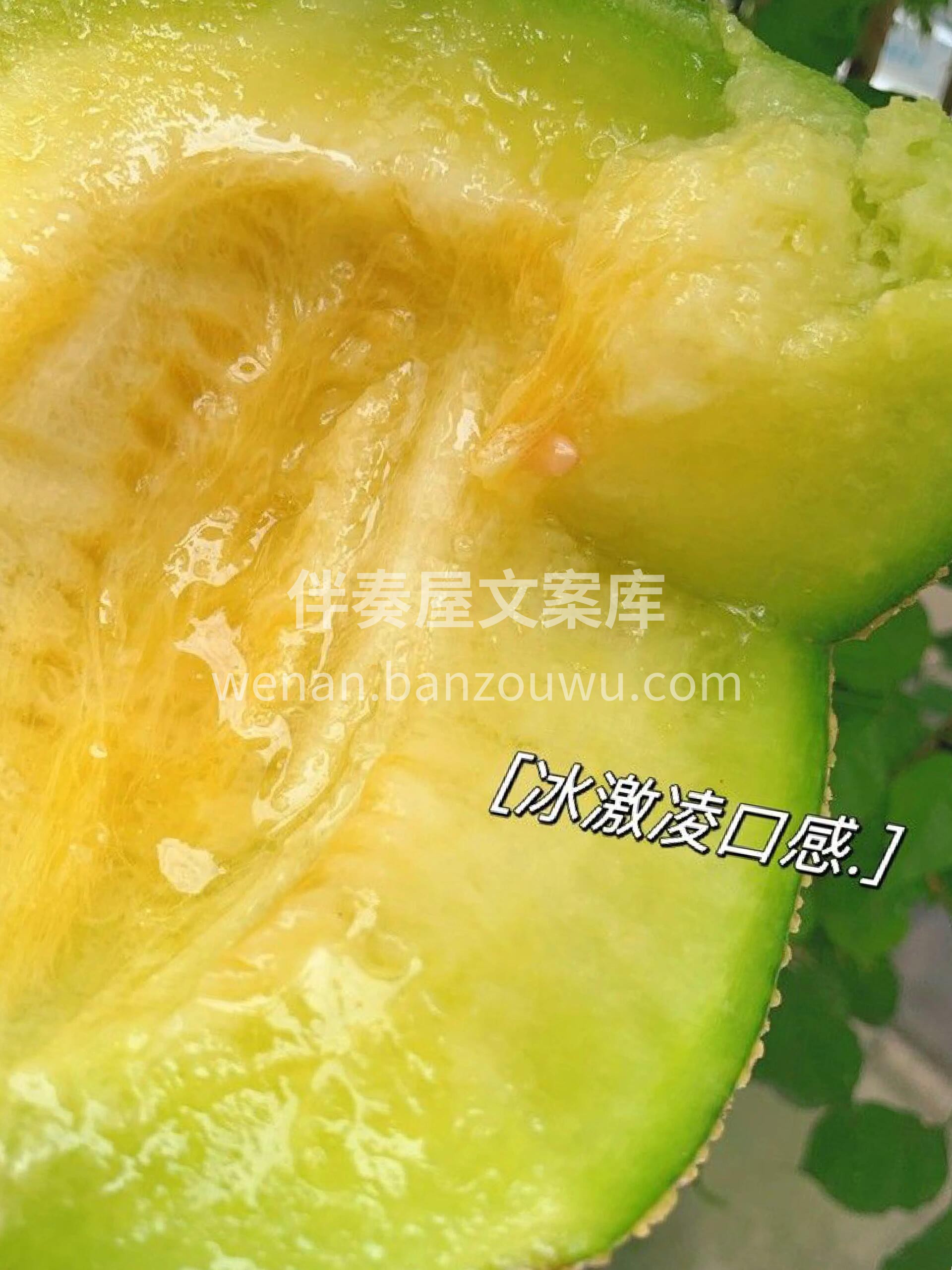 ✌🏻️推荐大家一款不错的网纹瓜🍈入口酥软 配图3