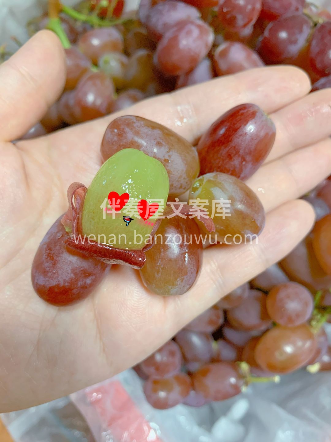 🍇🍇水果版の爆爆珠！克伦生无籽红提🍇🍇  配图1