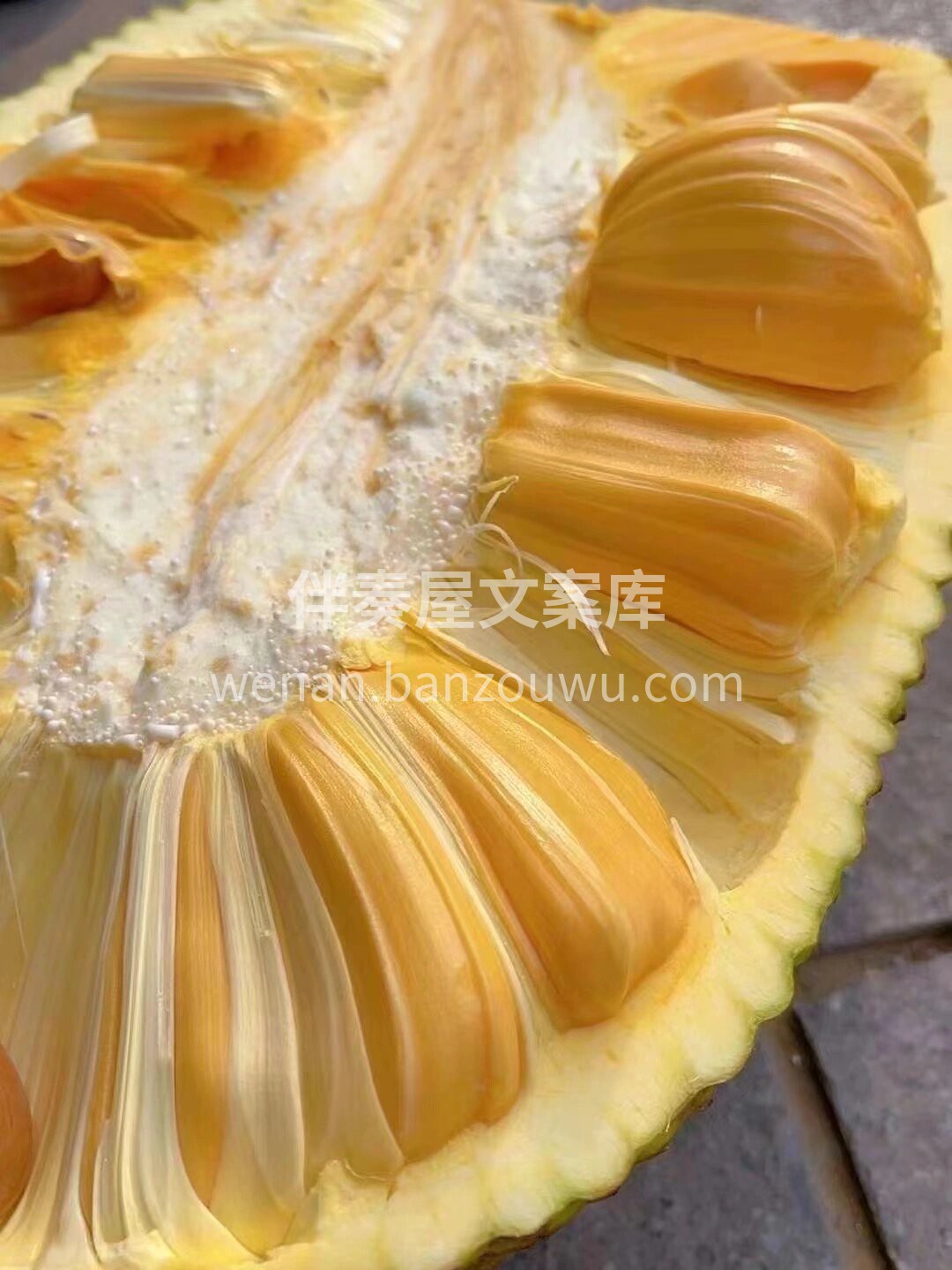 红肉菠萝蜜||〖泰国🇹🇭菠萝蜜〗 🌿苞大 配图3