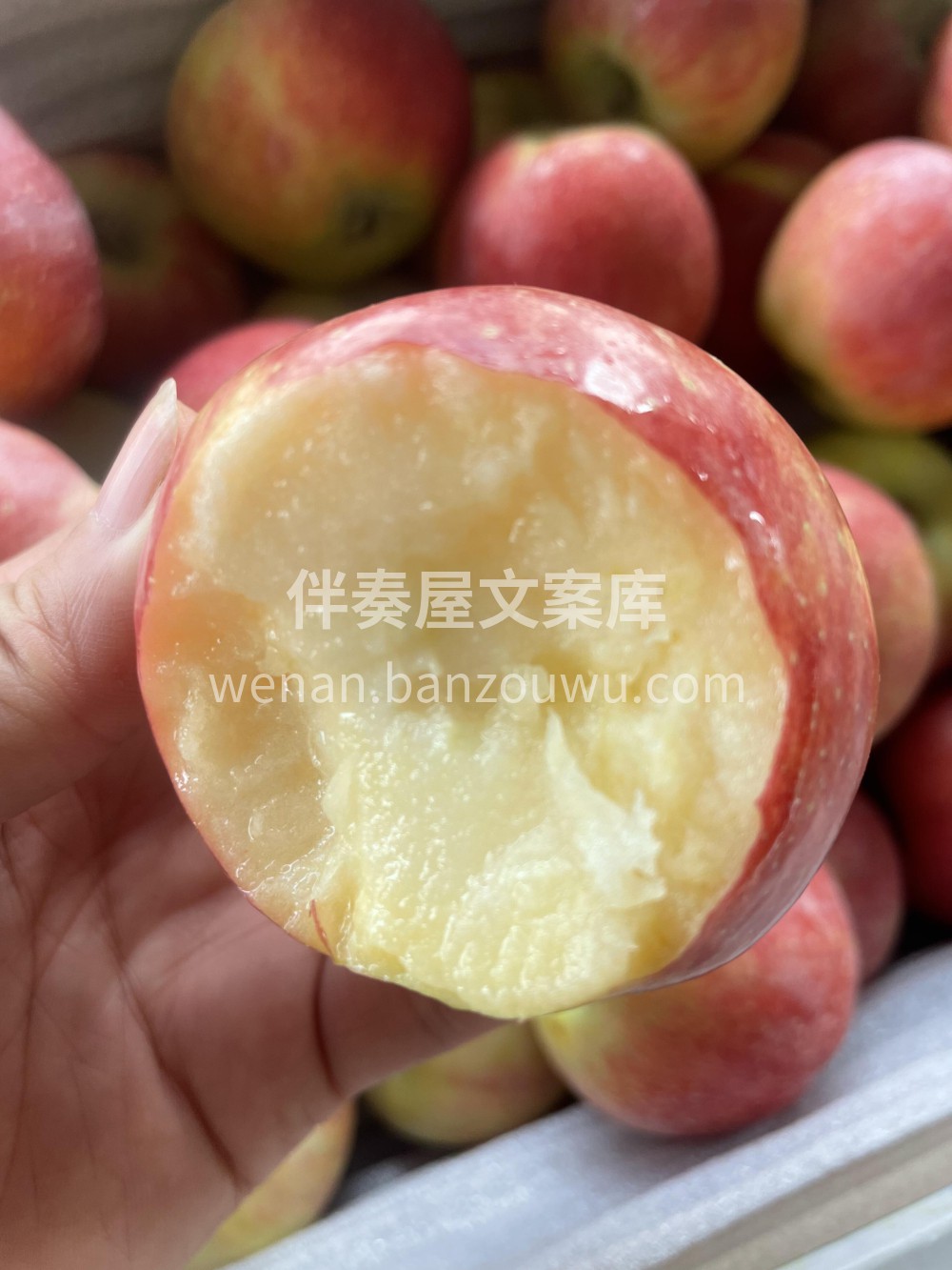 云南小苹果🍎脆 嫩 香 甜🍭带着一丝淡淡 配图2