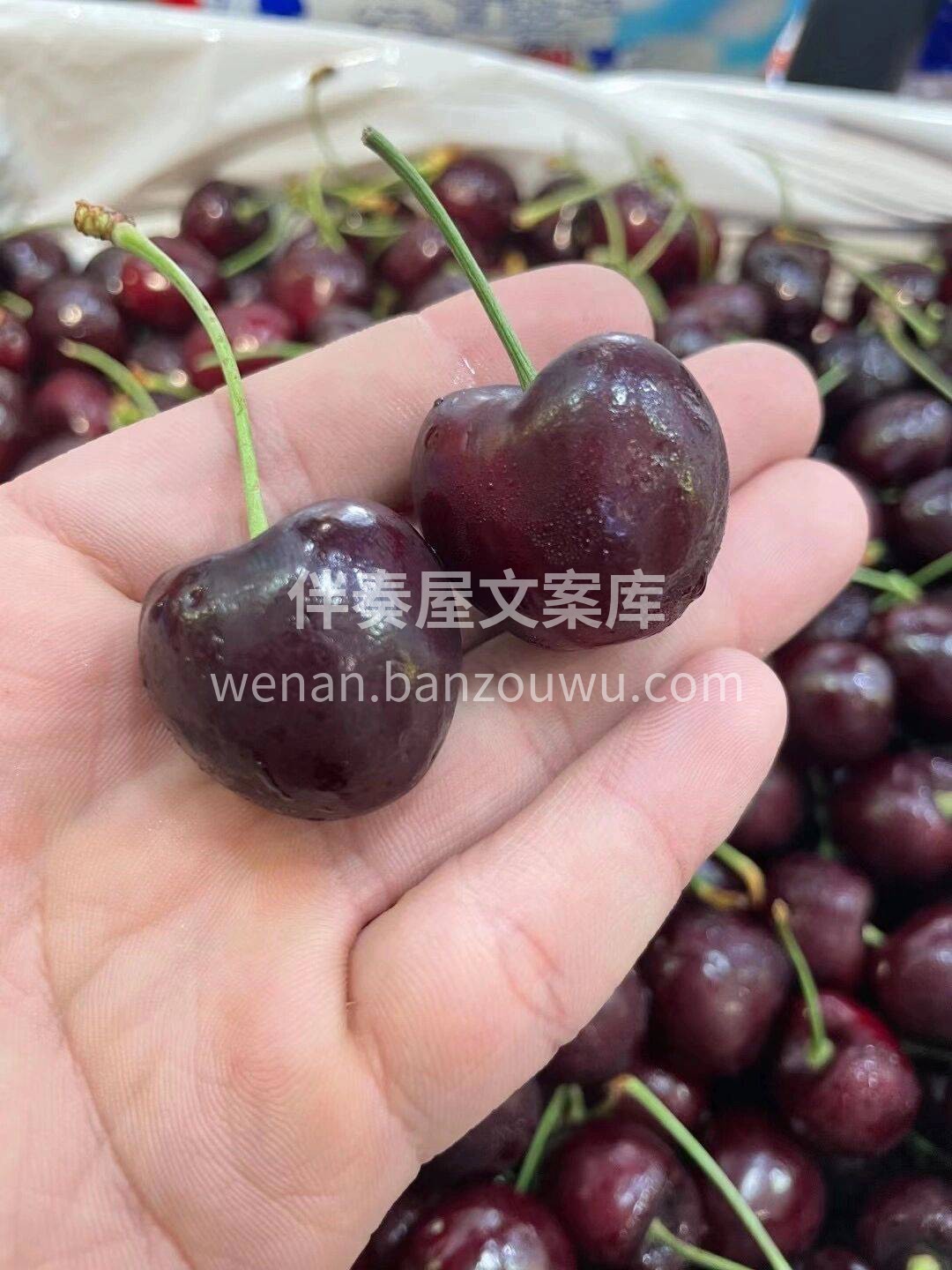 🌿夏天的车厘子主场一定在美洲 宏伟的落基 配图1