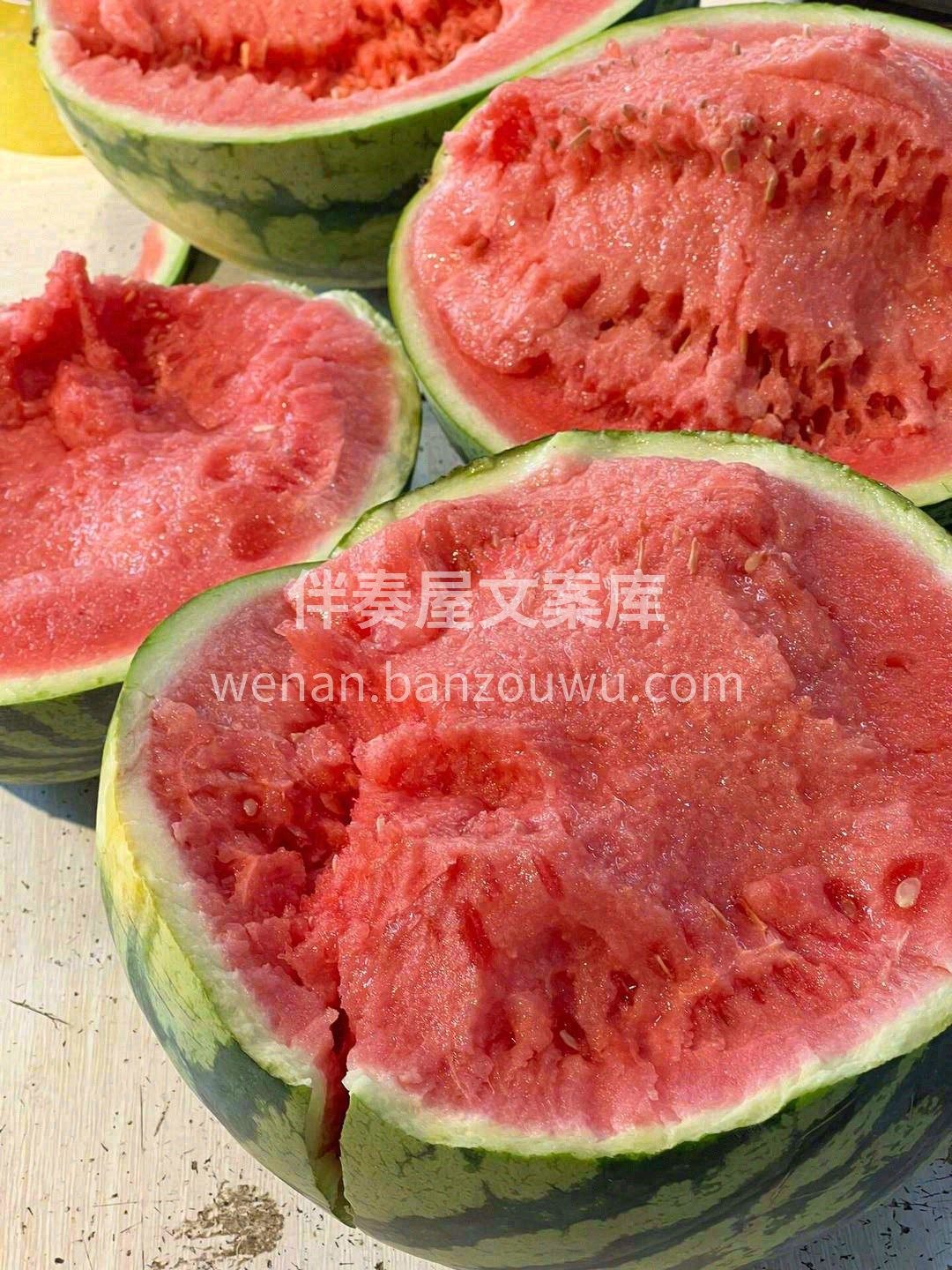👆今天要给大家安利——美都麒麟🍉 拥抱夏 配图3