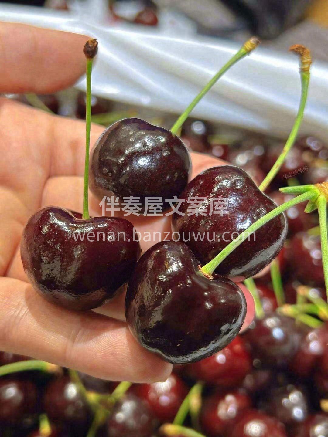 🍒【车厘子】新鲜到店‼ 颜值天花板～品相 配图2