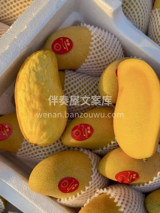 🌿水仙芒新货到🙋🏻‍♂️ 这个季节不吃🥭 配图3
