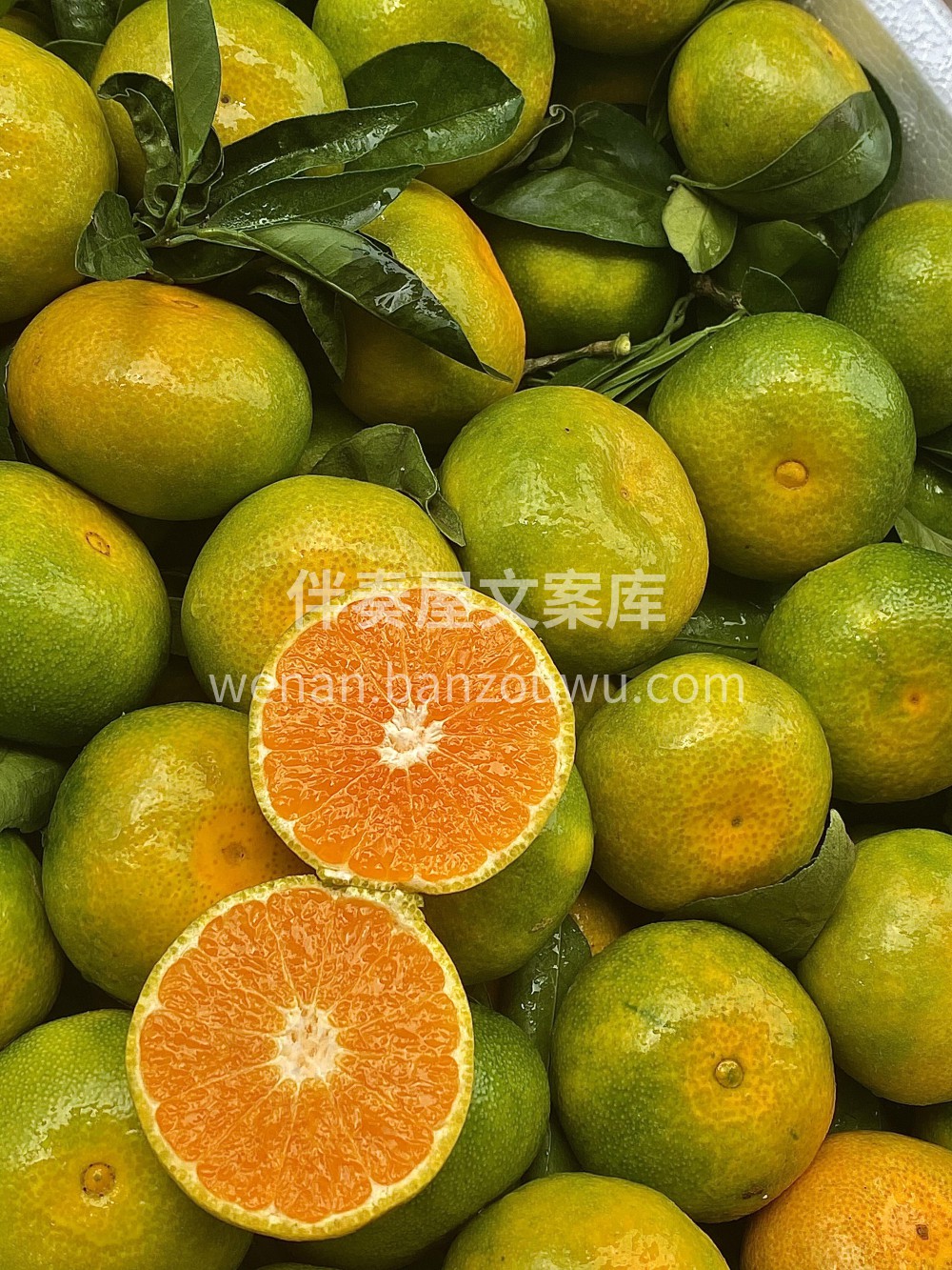 🍊🌿‬季‬节‬限‬定‬🌿云‬南‬蜜‬橘‬ 配图1