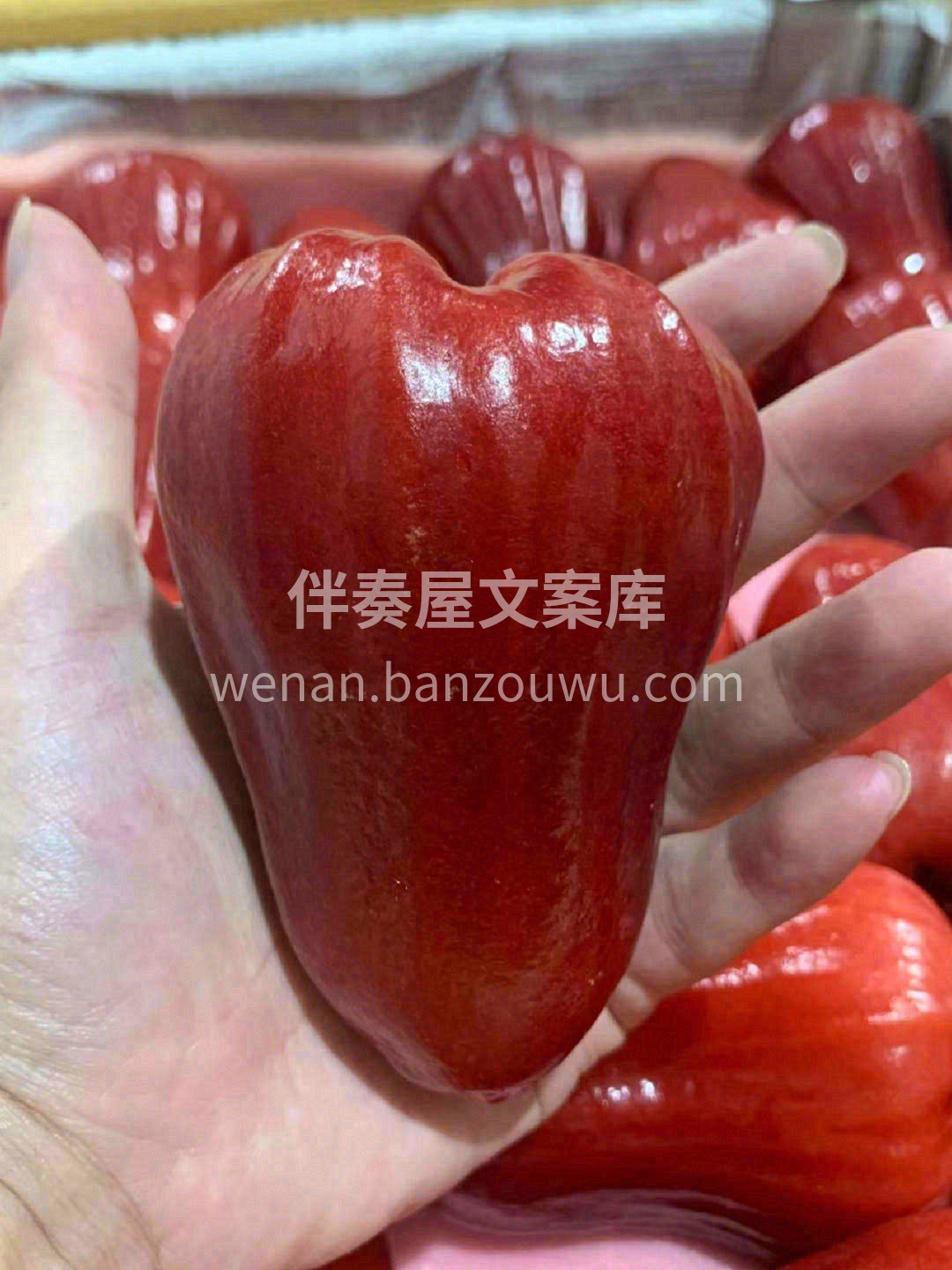 爱上这种水润💋 每吃一口都是一泓清泉🌊  配图3