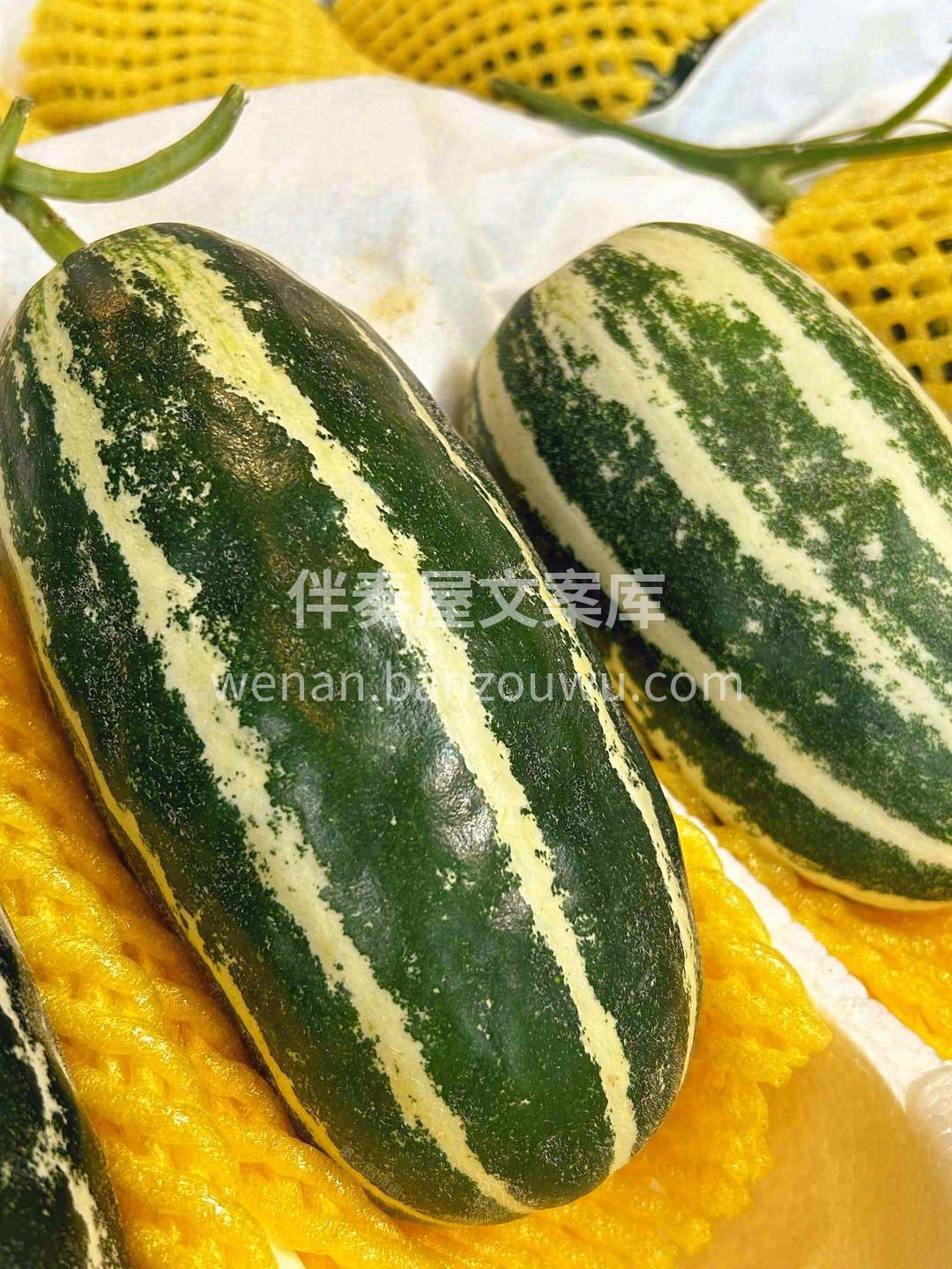 ✨博洋9号闪亮登场✨，真实无滤镜 果皮一 配图3