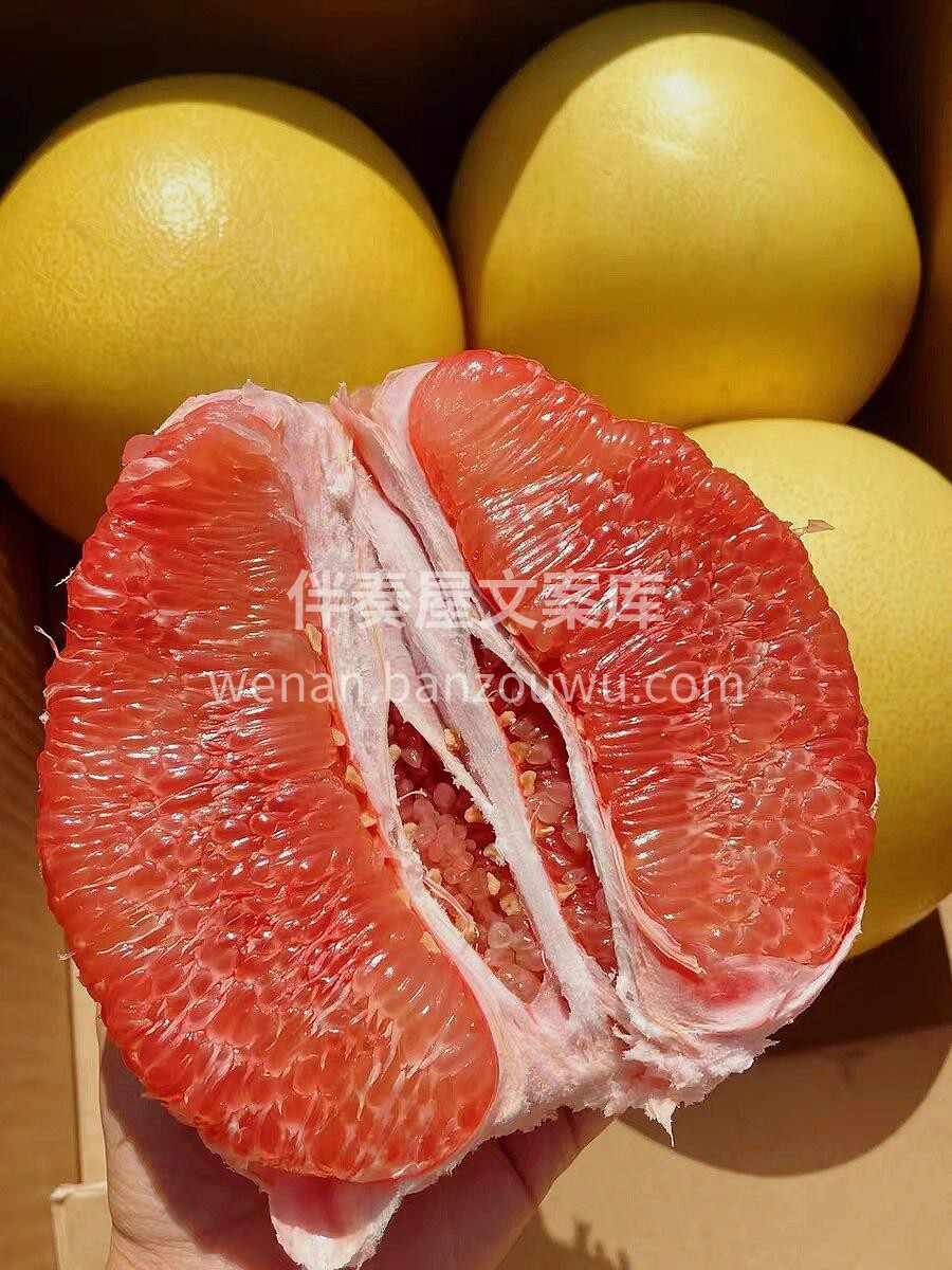 ☀️🍇 每一天都有新鲜水果相伴 是生活的小确幸 💚 愿你在忙 配图6