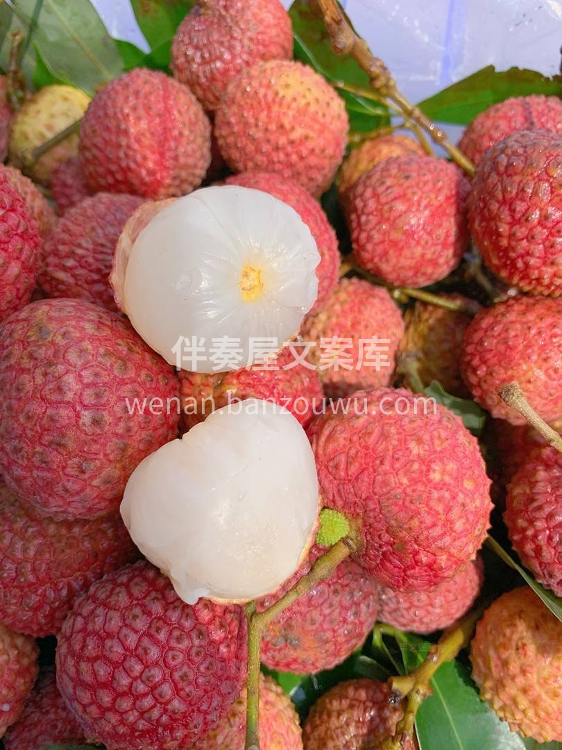 🐣将鸡嘴荔枝送入口中，合齿一咬，汁水四溢 配图3