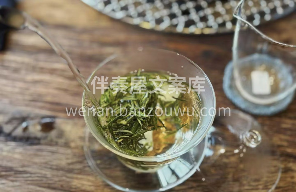 2026春茶上新｜恩施玉露头采预售！明前 配图3