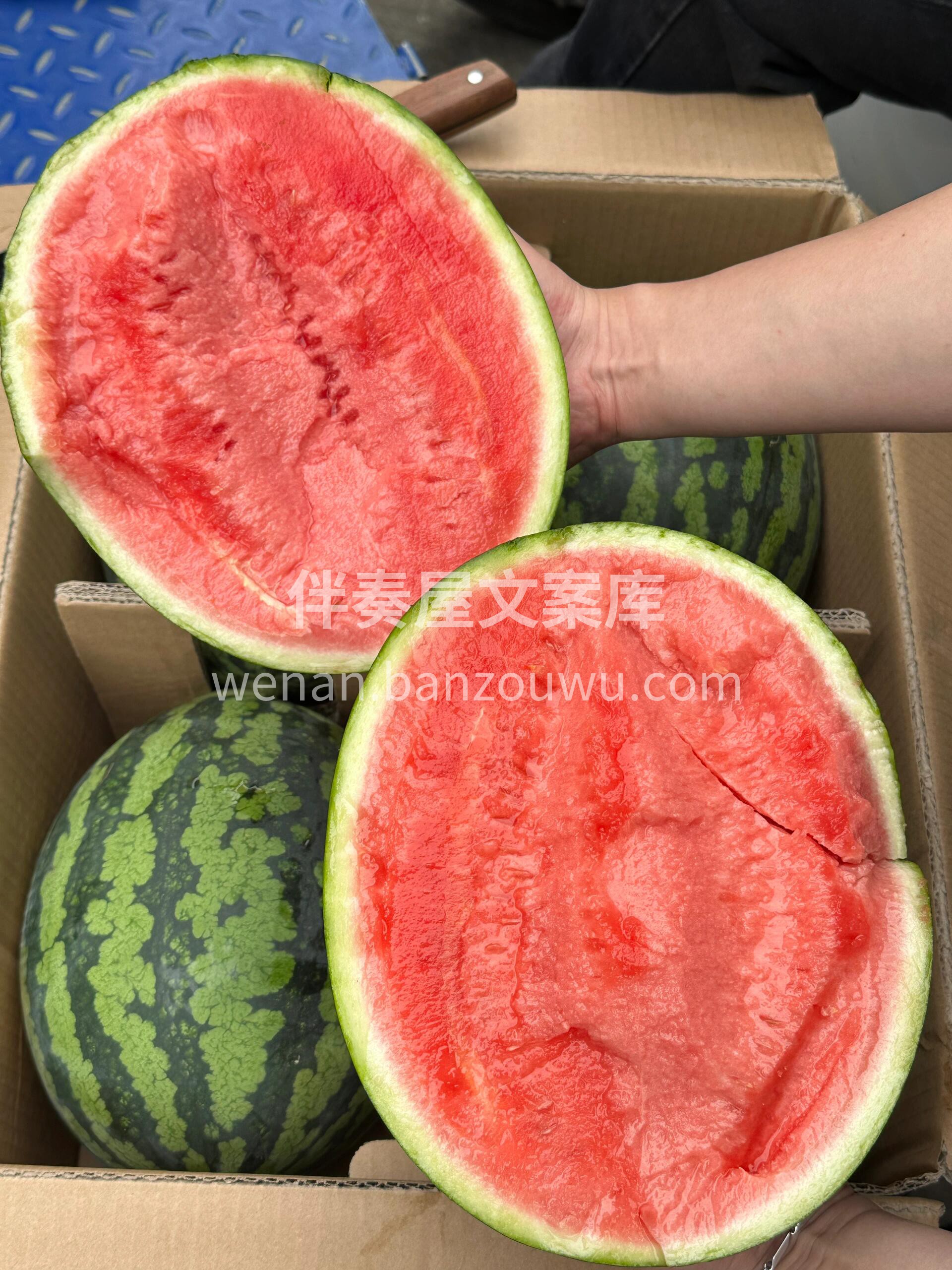 🍉瓜肉粉红，纤维少 一口脆甜，肉多汁💦， 配图1
