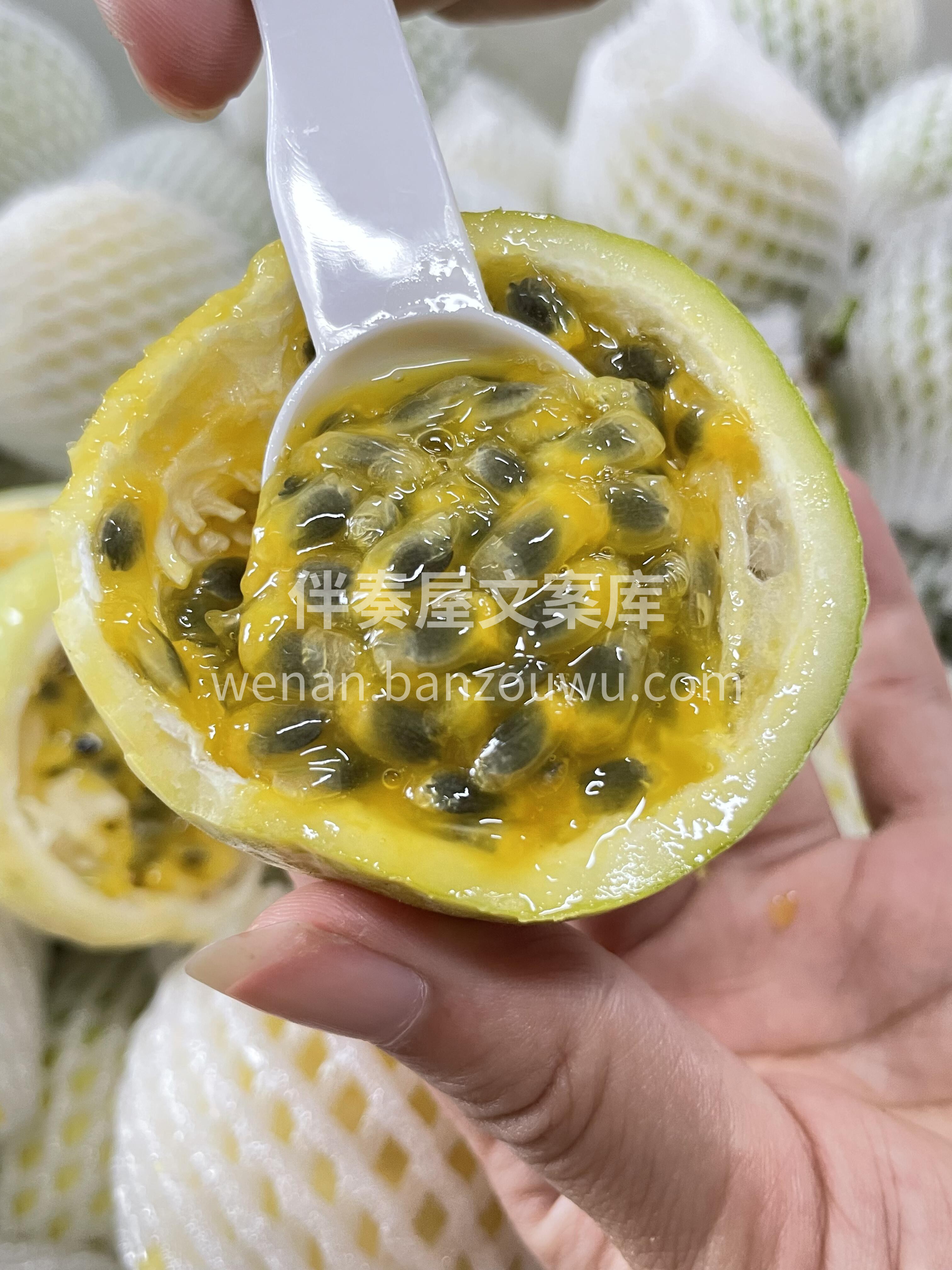 🔆黄金百香果‼️ 无需蜂蜜，一勺入口，甜 配图1