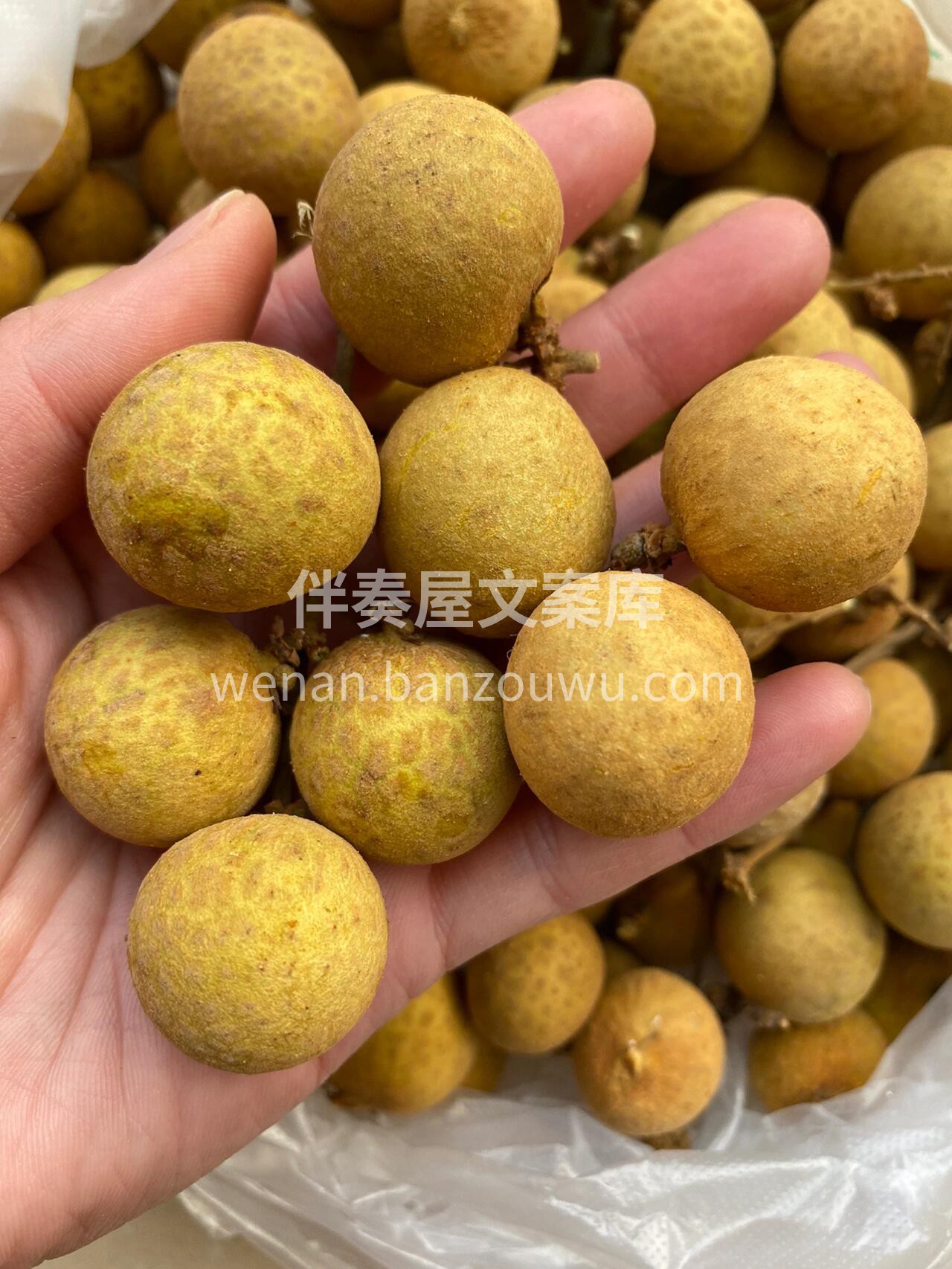 🔅今日份泰国金标龙眼上新🎉🎉 晶莹剔透水 配图3