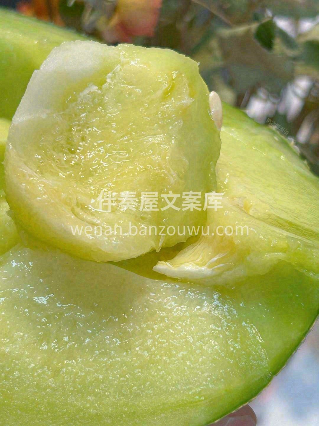 汁水丰沛饱满💧，水润无渣，但不会像西瓜一 配图2