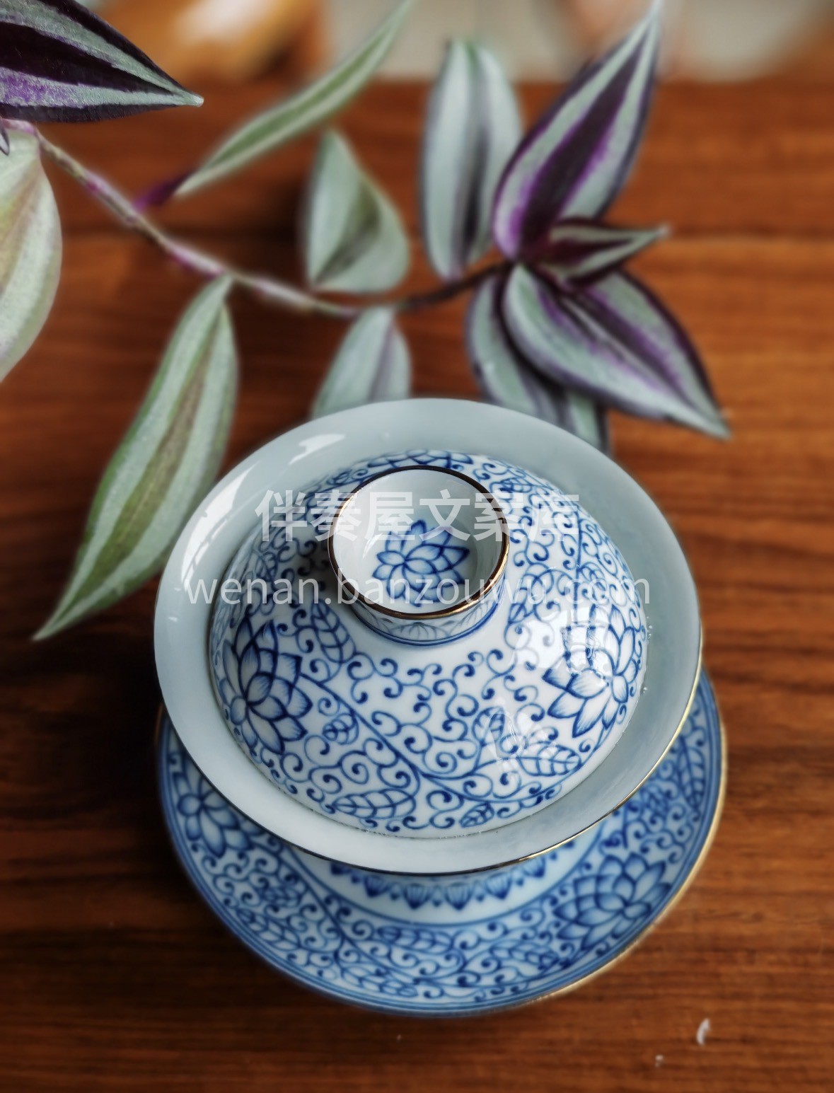 ✅ 明前采摘，芽叶细嫩 ✅ 豆香馥郁，鲜 配图3