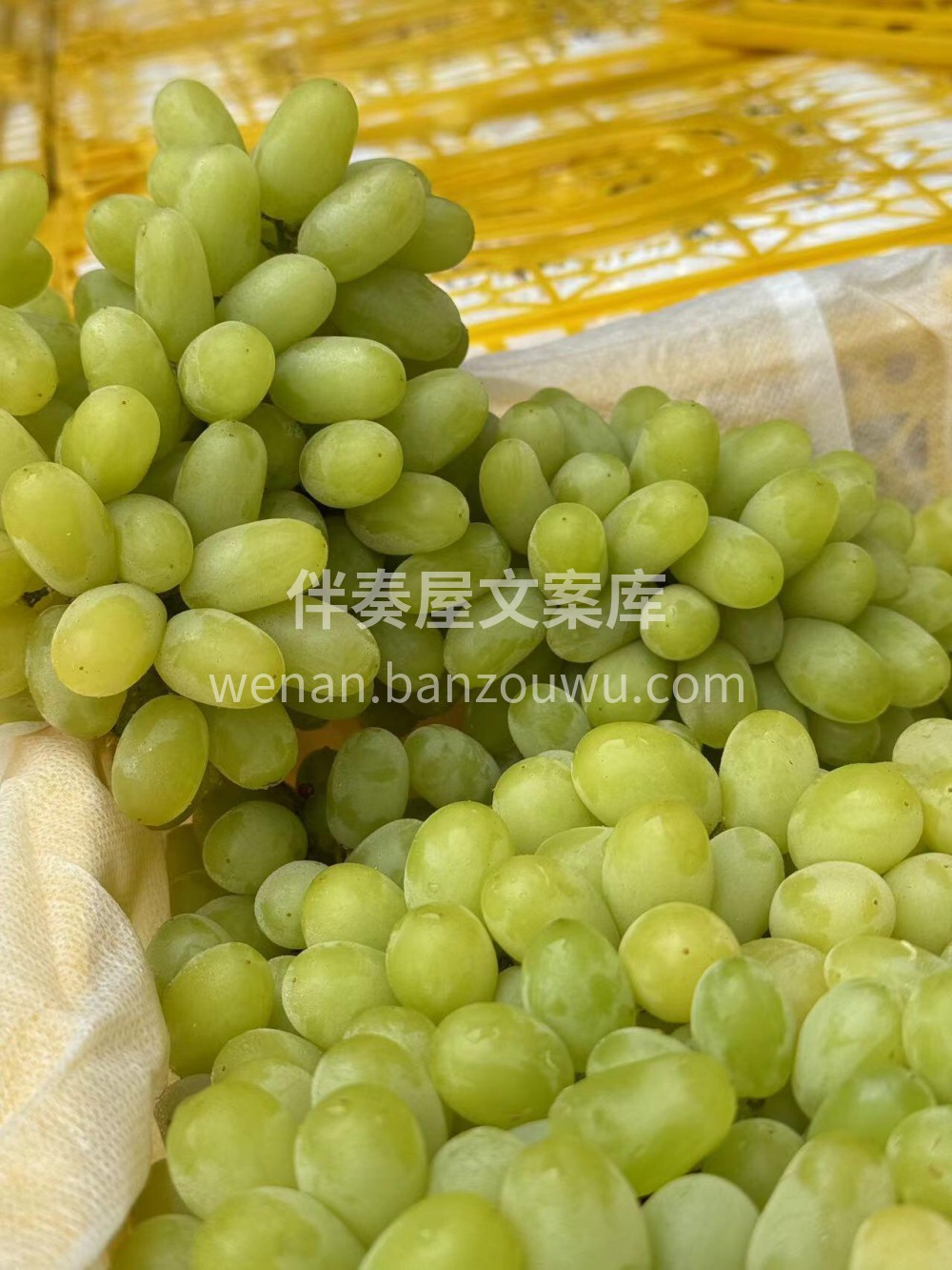 🍇来自新疆的季节特色水果马奶子👍🏻皮薄肉 配图2
