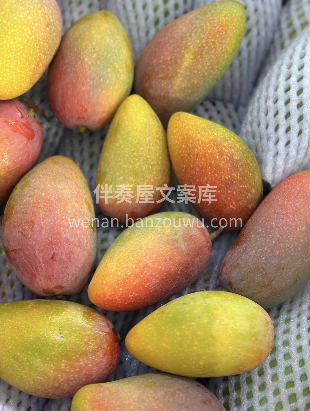 💛 贵妃芒～ 初尝带着小“娇”气😜，细品 配图3