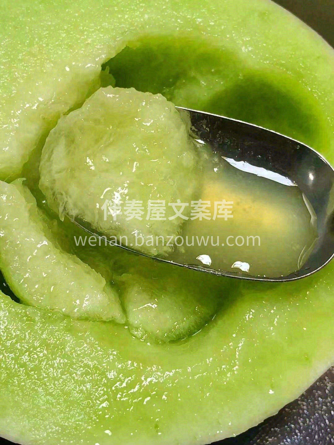 🌿秋天的第一口软瓜非“玉菇娘”不可🍈 淡 配图2