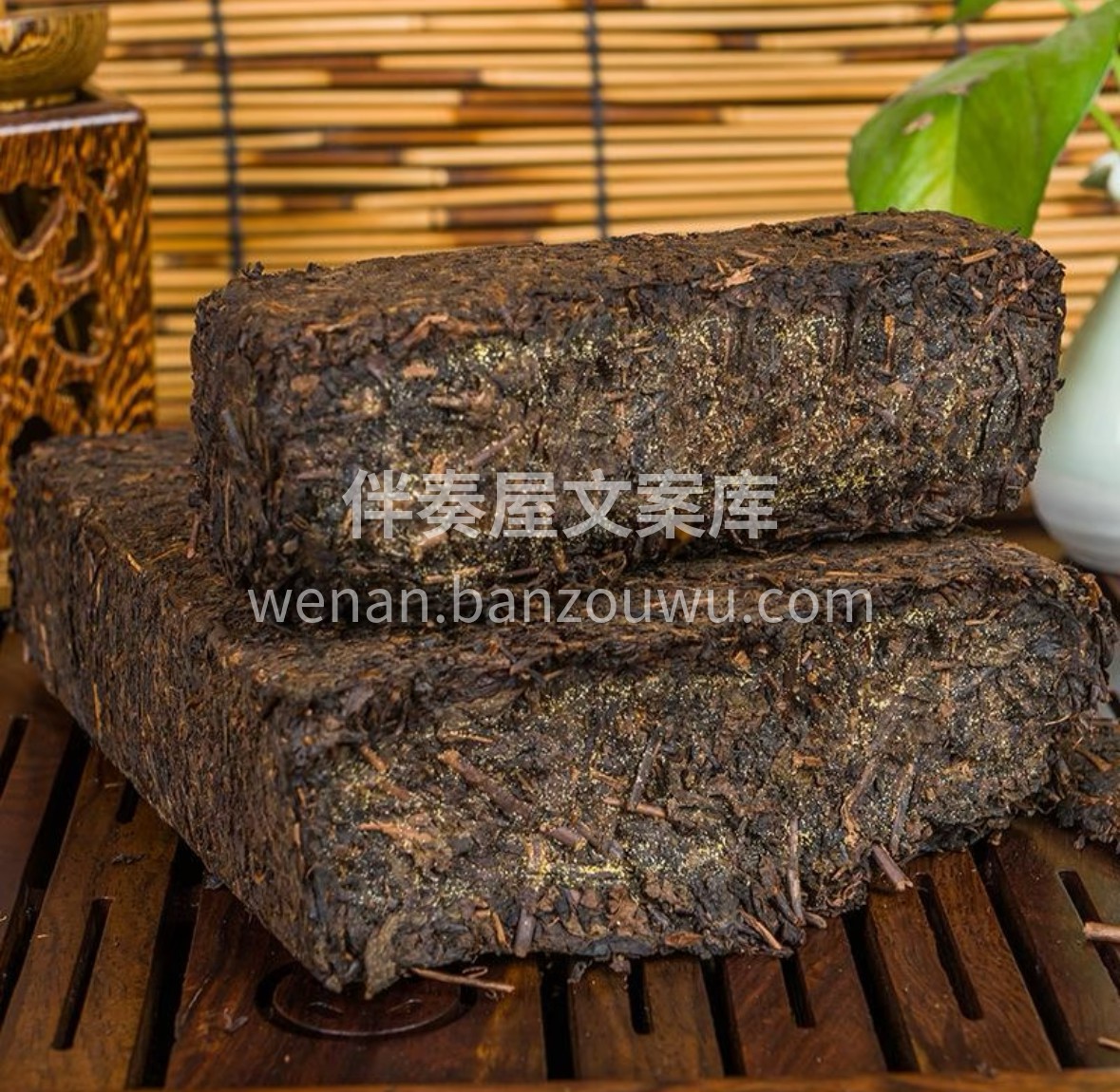 陈仓藏韵的安化黑茶，条索紧结带金毫。渥堆 配图1