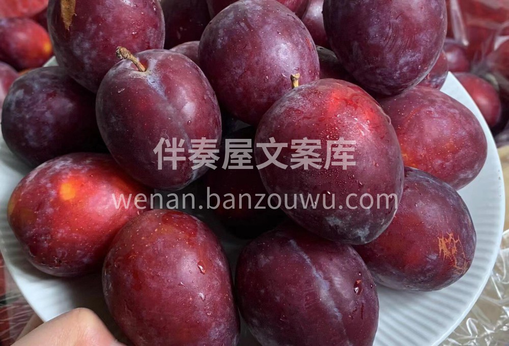 鸡心李 ?喜欢吃李子的宝宝一点不要错过? 配图1
