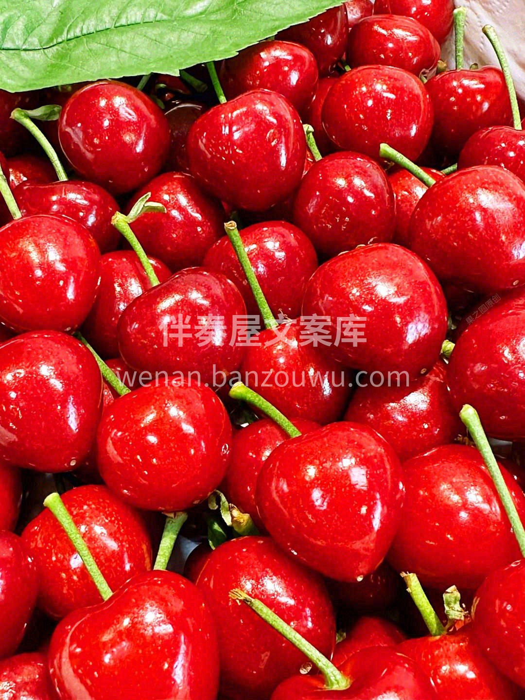 脆甜可口的第一好吃的🍀美早樱桃🍒 只为懂 配图3