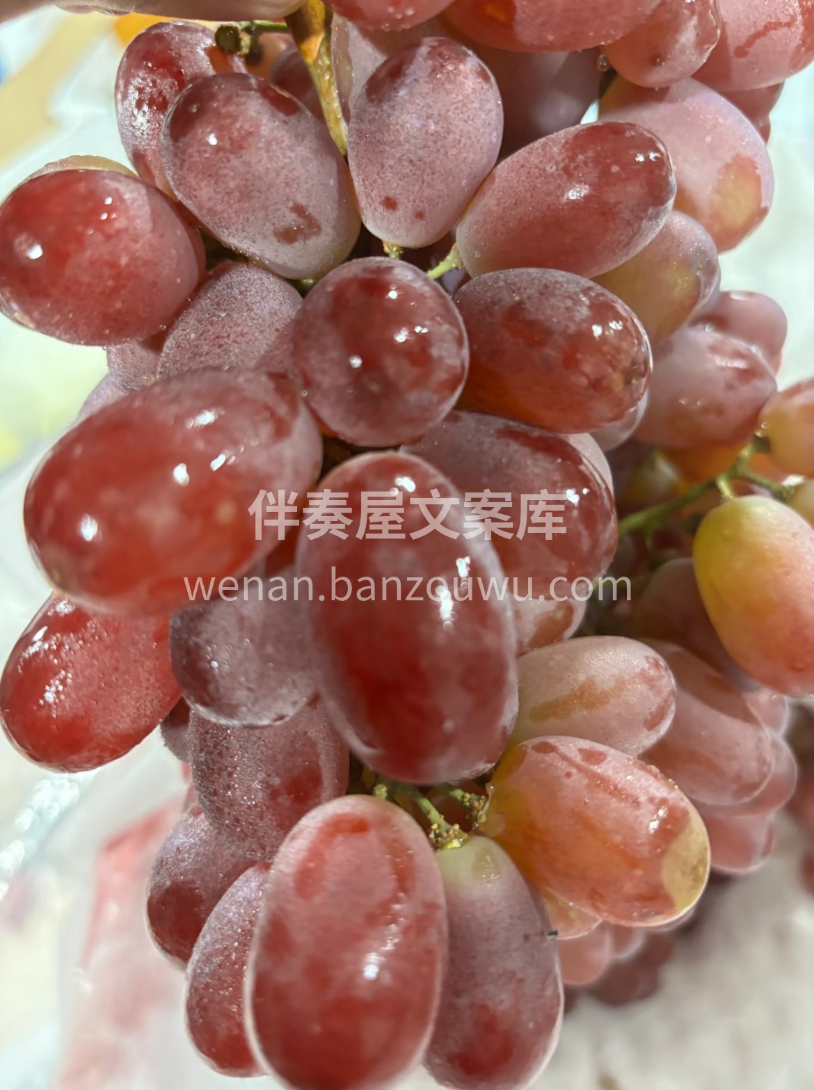 无籽红提上新💫 ✌️带皮大快朵颐超自在😍 配图1