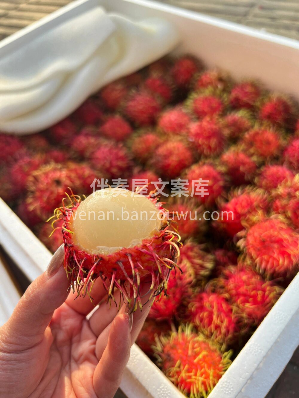 🌱🌱春天你好😘愿一切美好，都如约而至～  配图3