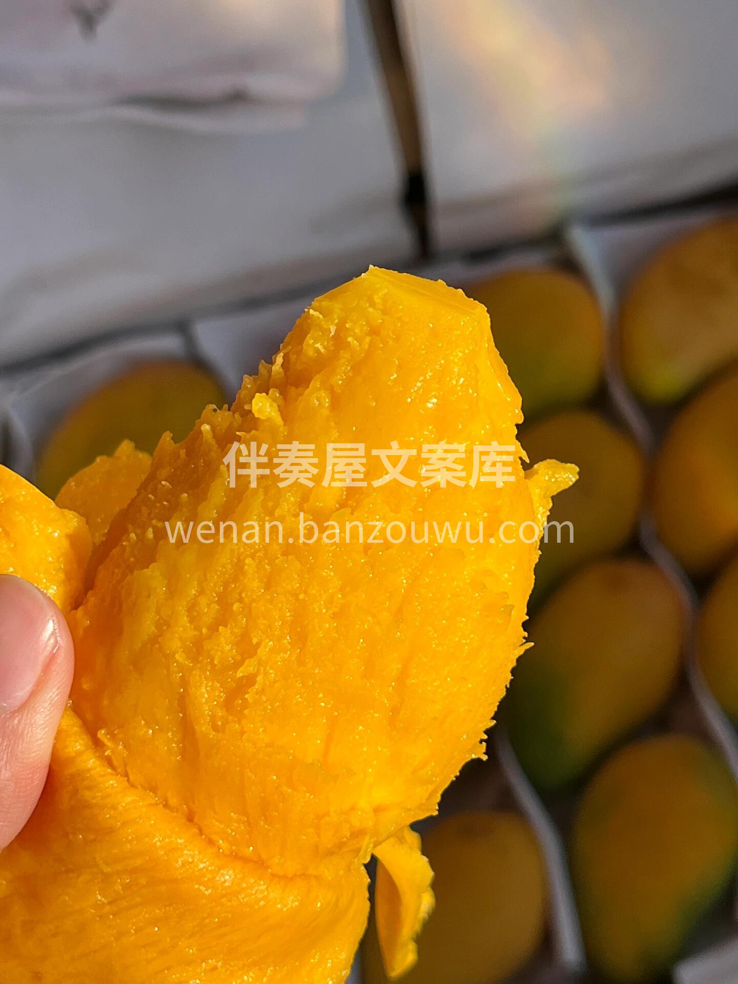 海南小台农🥭芒果属于典型的穿衣显“瘦”， 配图3