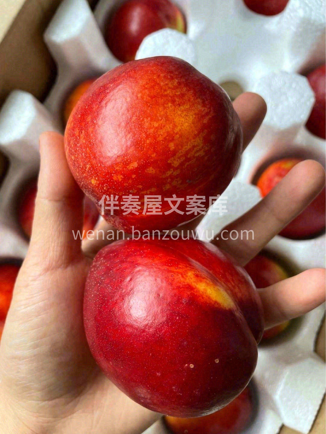 🍑外表美观诱人，口感甜润爽口💥 肉质似有 配图2