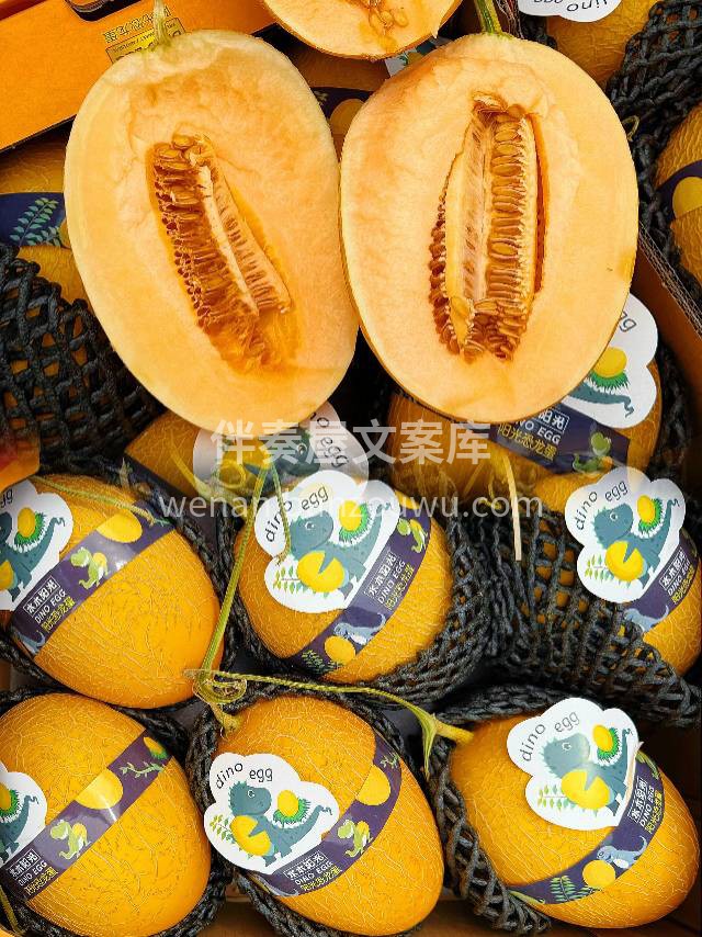 【恐龙蛋🦕蜜瓜🍈】 瓜皮纤薄，瓜肉脆厚多 配图2