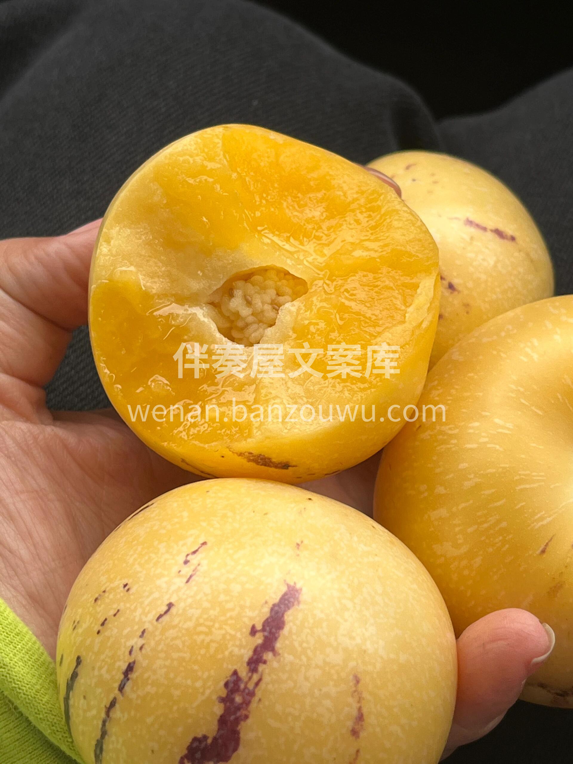 🔆树上熟人参果💛 水果中的“灌汤包”🤤， 配图3
