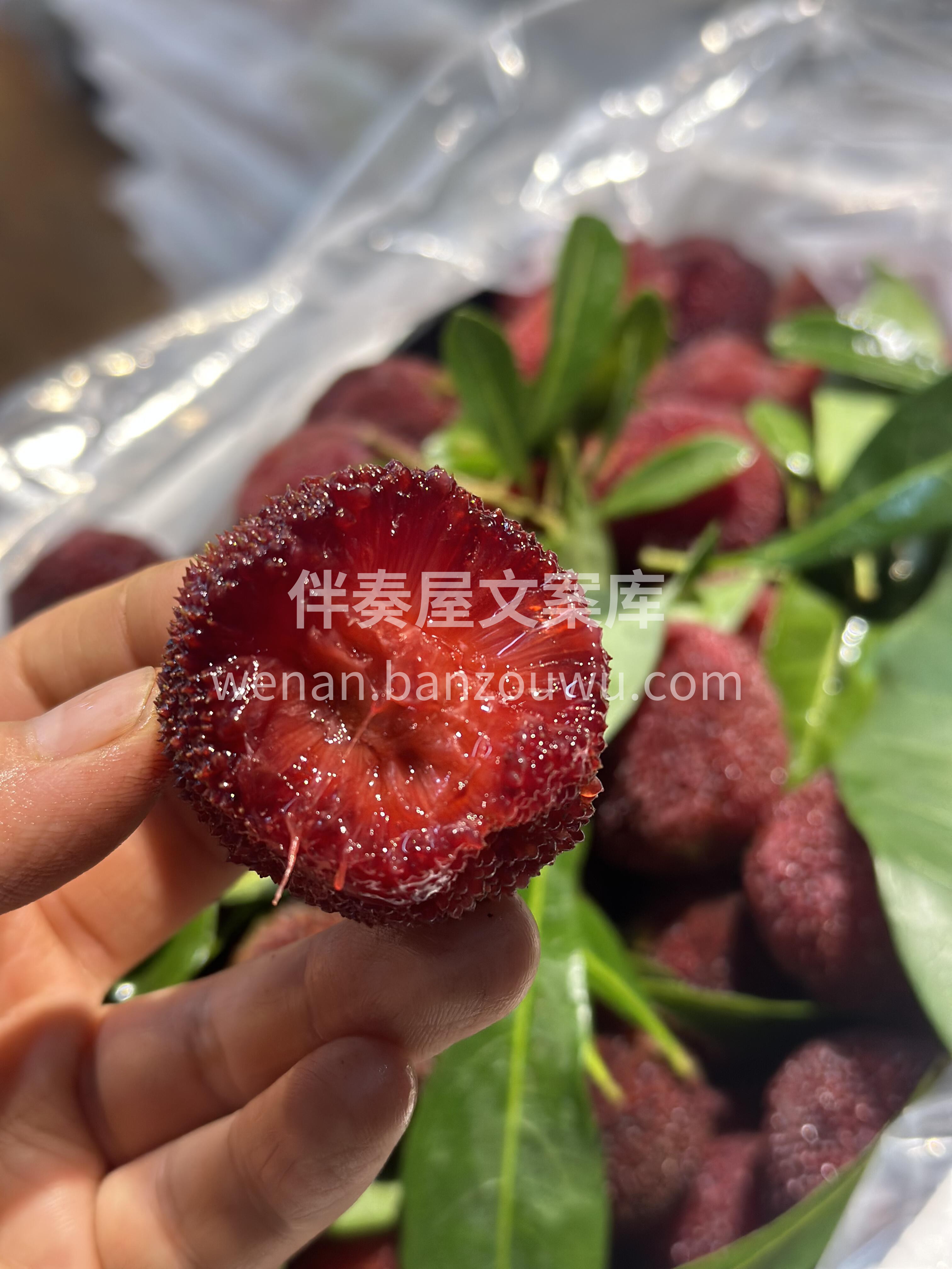 ✈️东魁杨梅到货‼️ 隔着屏幕都在流口水 配图2