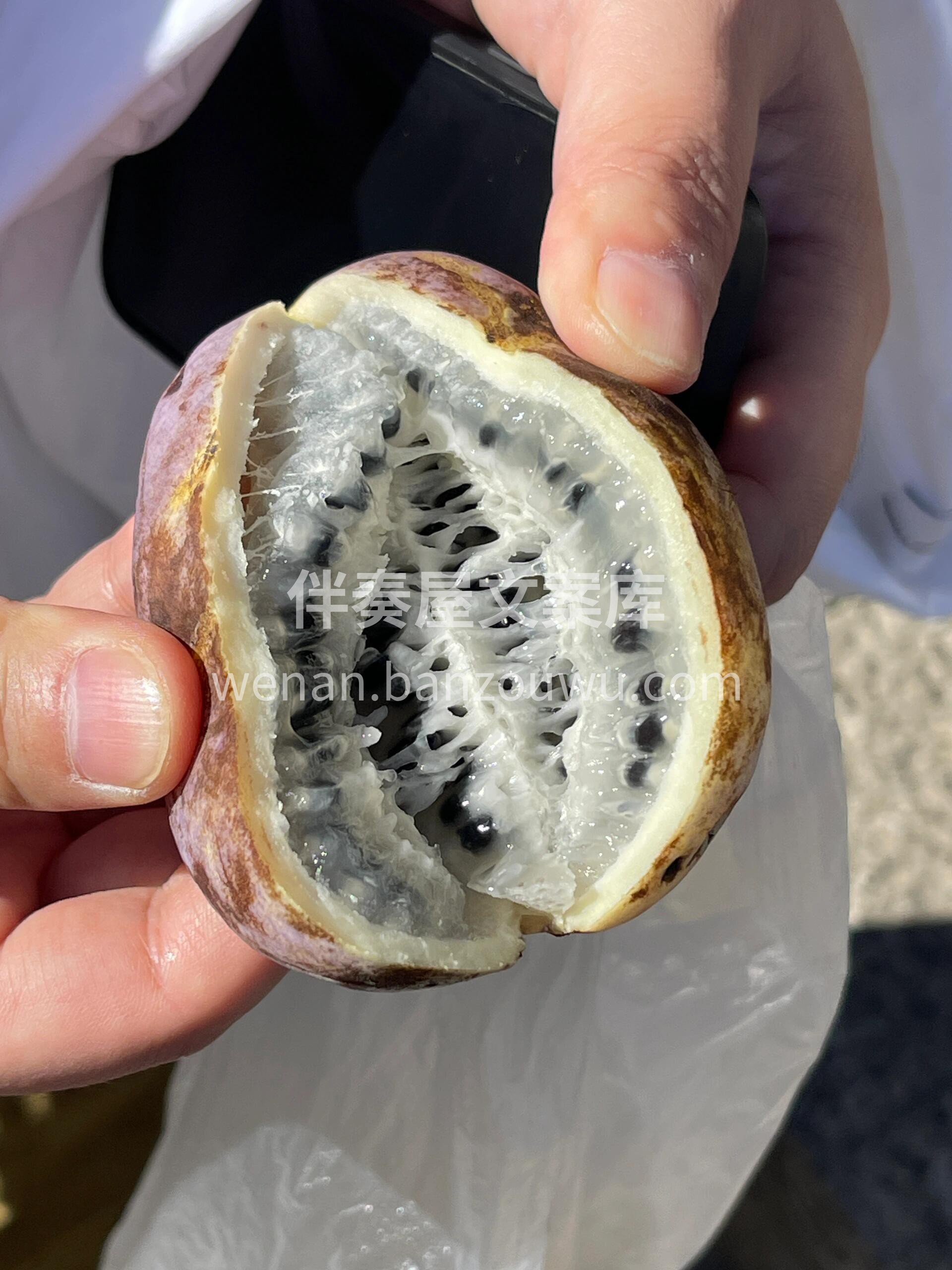 💥八月瓜上新💥 一年只吃一次的奶味水果  配图1