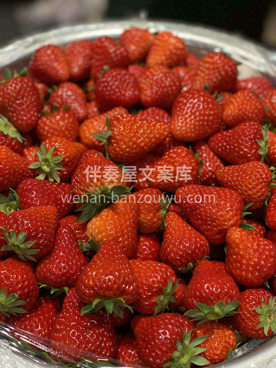 🌈冬日遗落人间的红宝石，通身红彤彤，娇艳 配图3