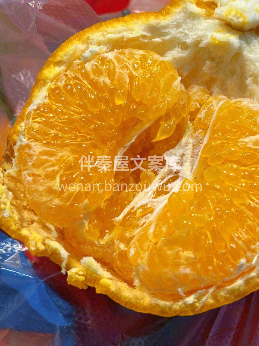 🙋人生不仅有初见，还有春见🍊 满满“柑” 配图3
