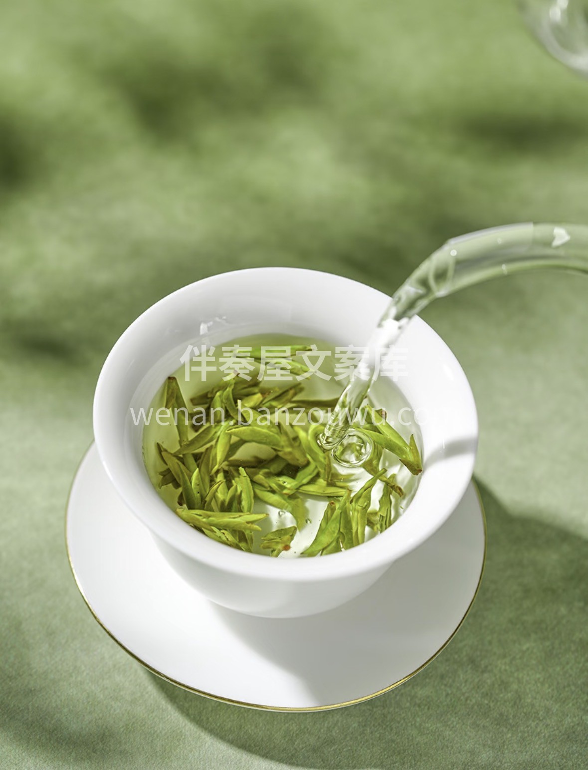 春归龙井，芽醒枝头🍵 正宗明前头采龙井， 配图3