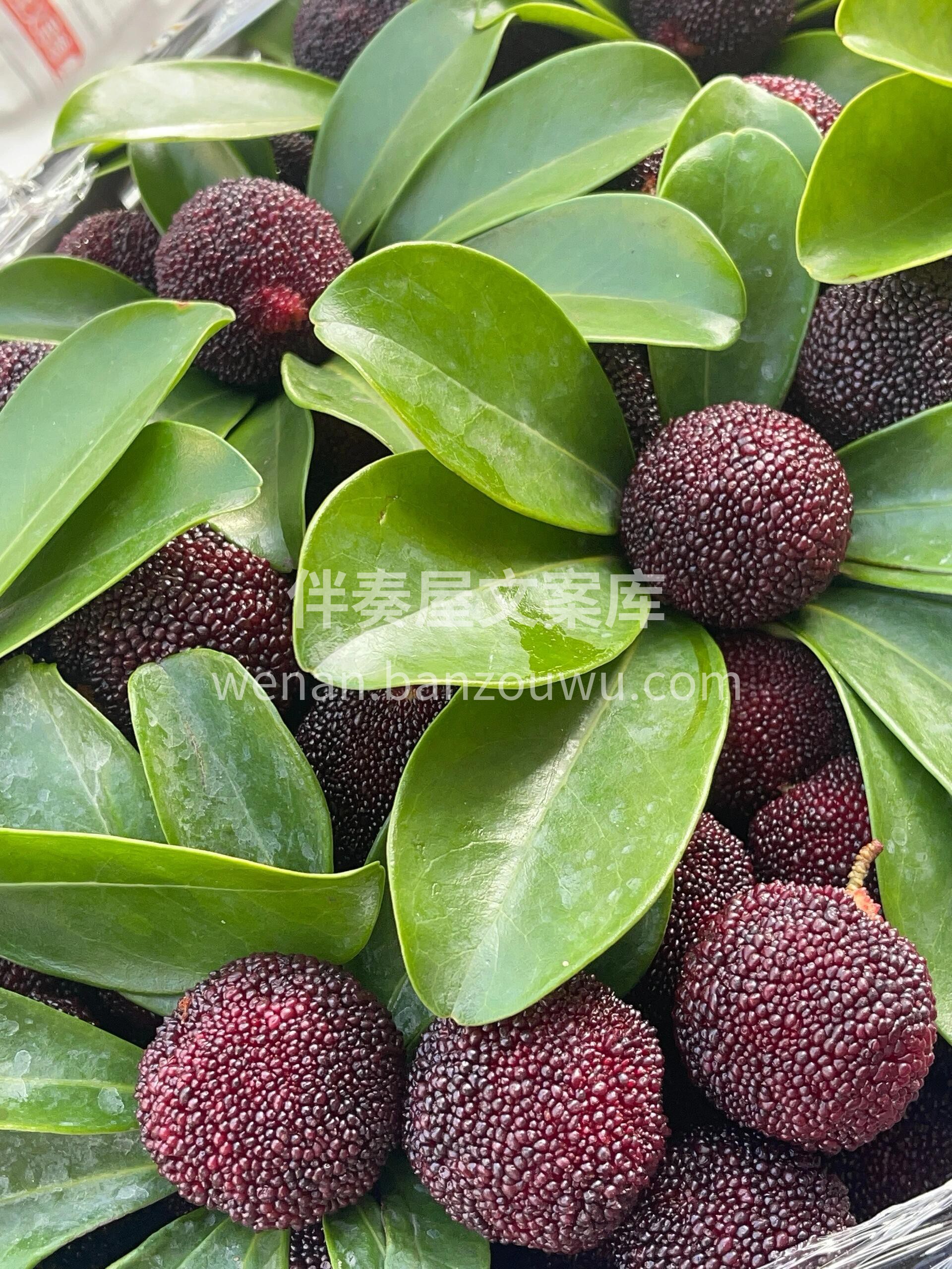 今年的杨梅都又黑又大的，口感也是纯甜呀🍭 配图2