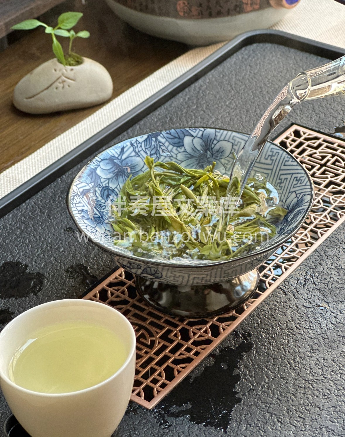 安吉白茶自带“白富美”气质，一芽一叶凝萃 配图2