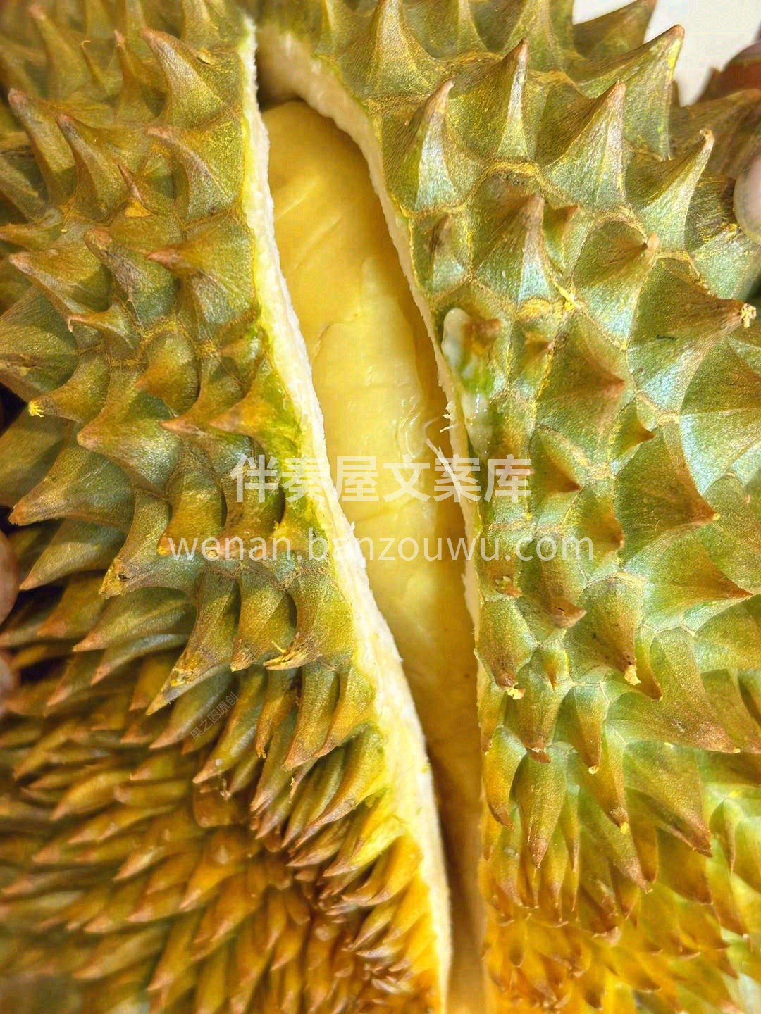 今天的金枕榴莲🏆，掰开全是肉🧀 “香”不 配图3