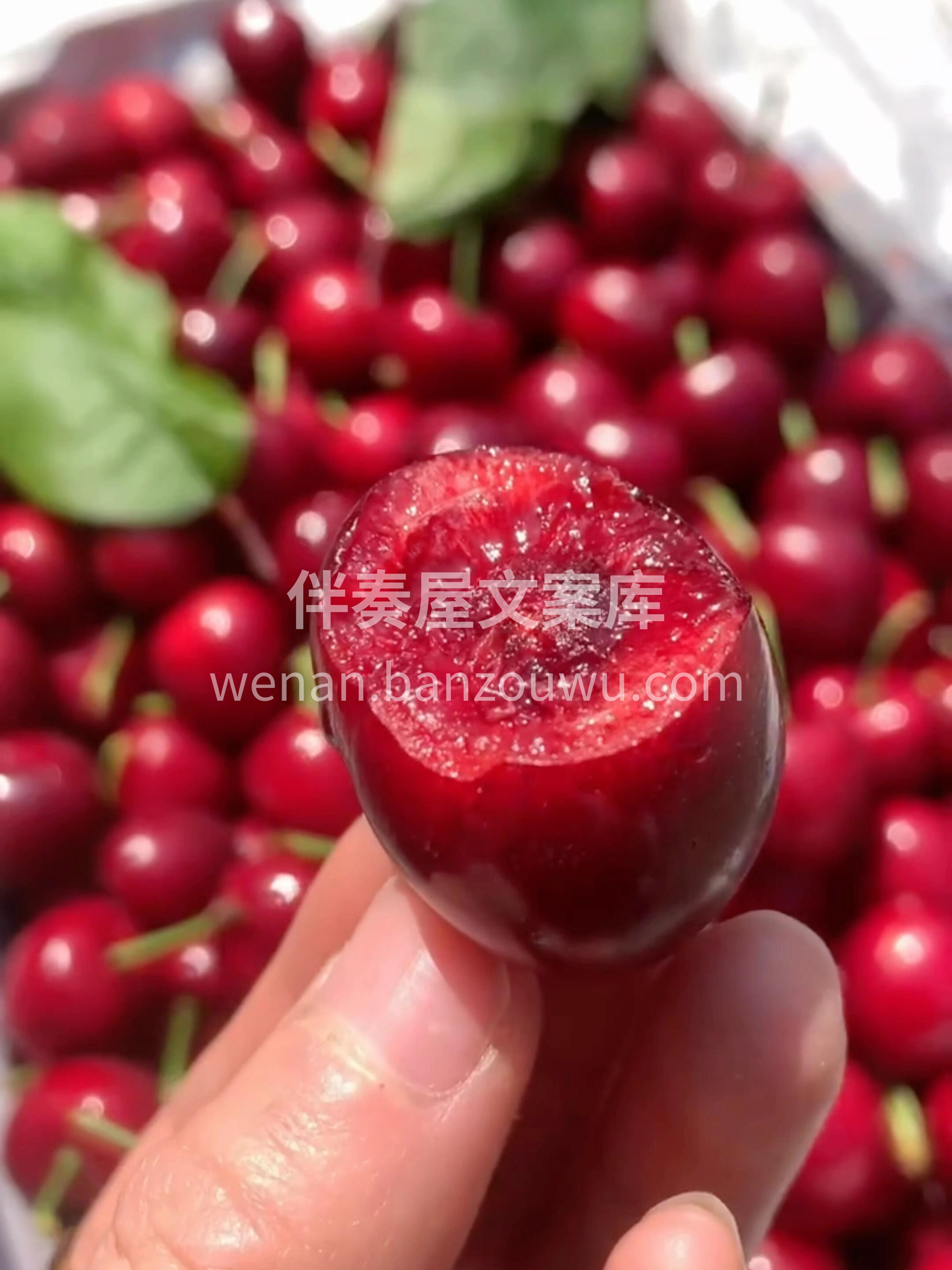 🍒 美早樱桃上市！🍒 紫红发亮像宝石～颗 配图1