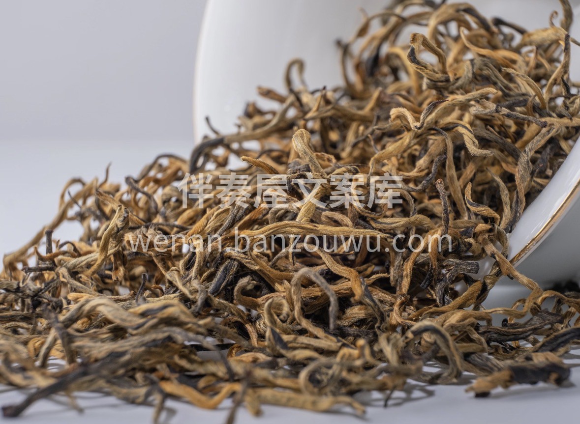 🌿 英德春茶 · 鲜不可挡 头春头采，芽 配图2
