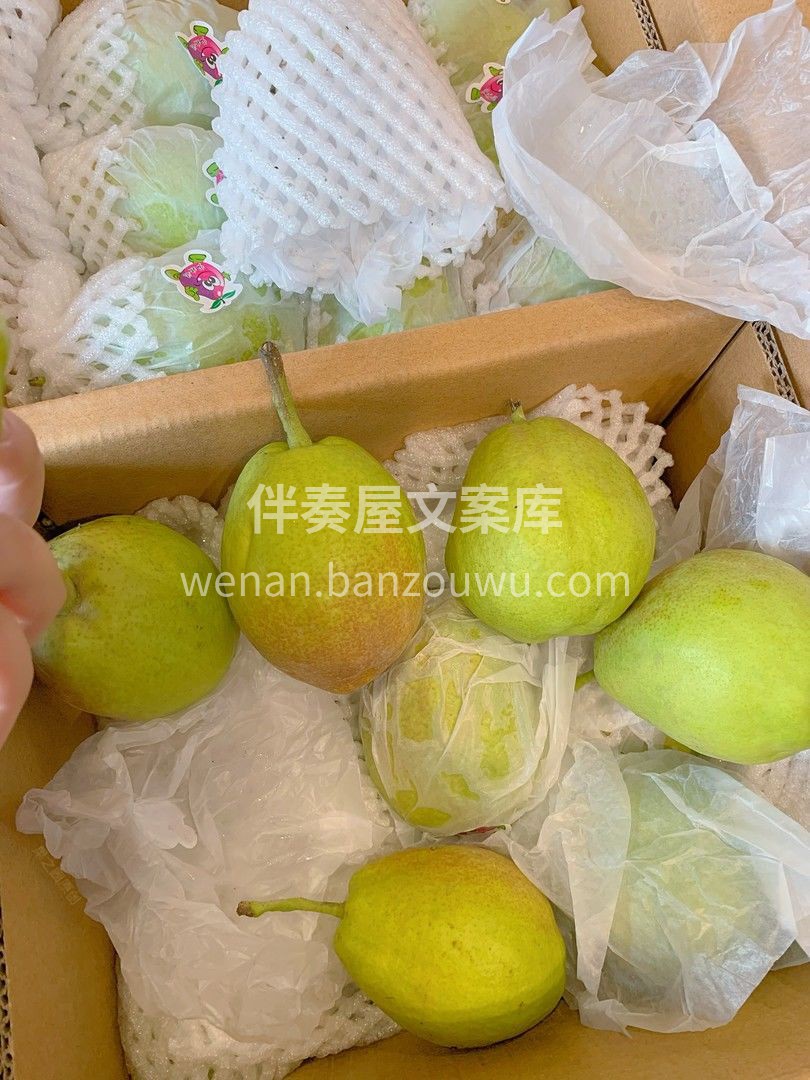 新疆有一句歌谣🎷🎷 “吐鲁番的葡萄哈密的 配图3