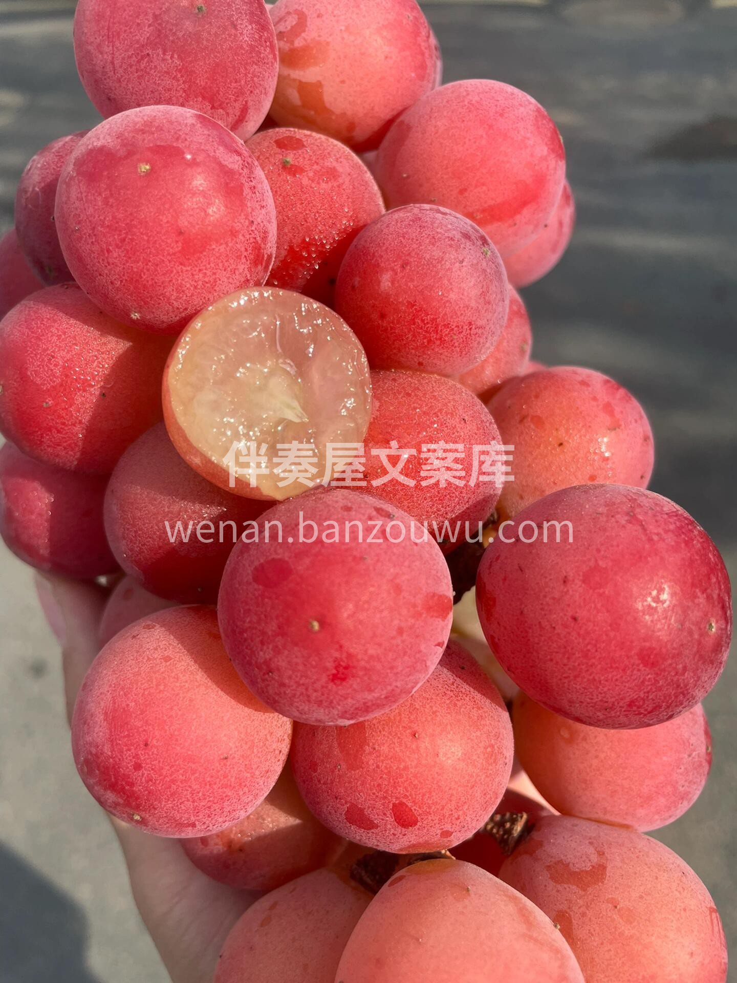 💚妮娜皇后👸葡萄届的巅峰美味～ 拥有酒香 配图2