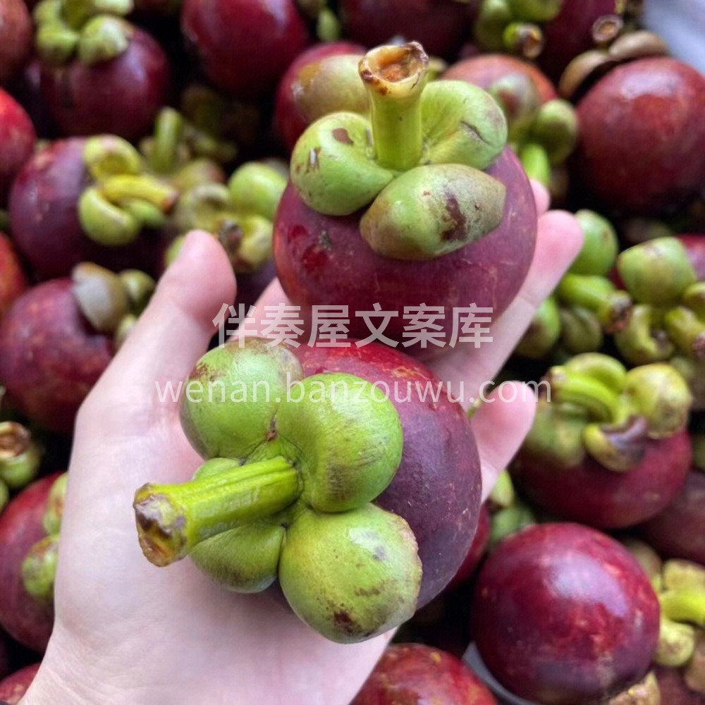 印尼🇮🇩5A山竹最新到货，非常新鲜，多汁 配图2