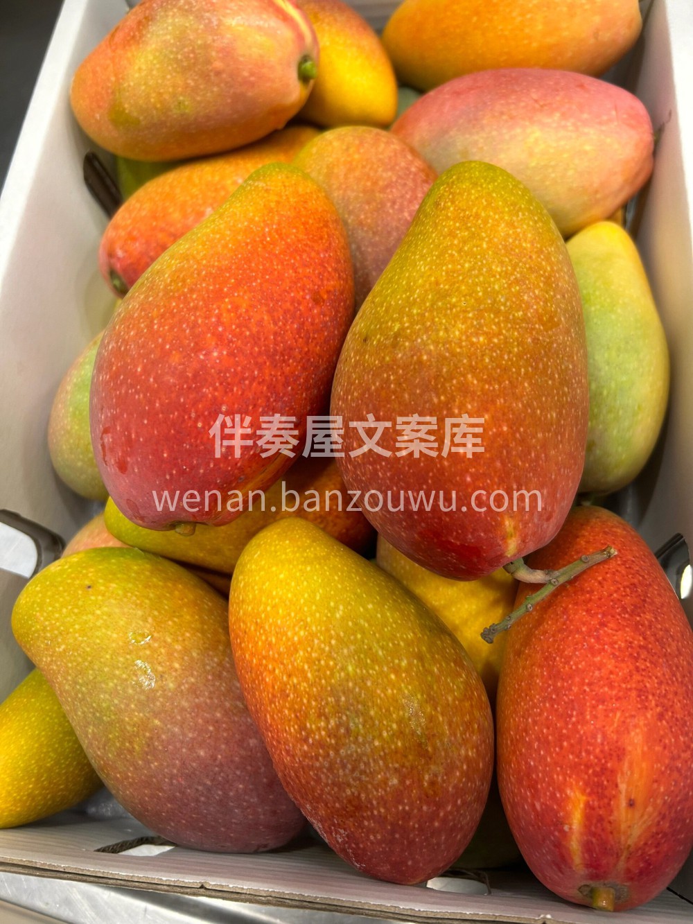 🌴海南树熟贵妃芒🥭正当时自然熟的香甜味🌸 配图3