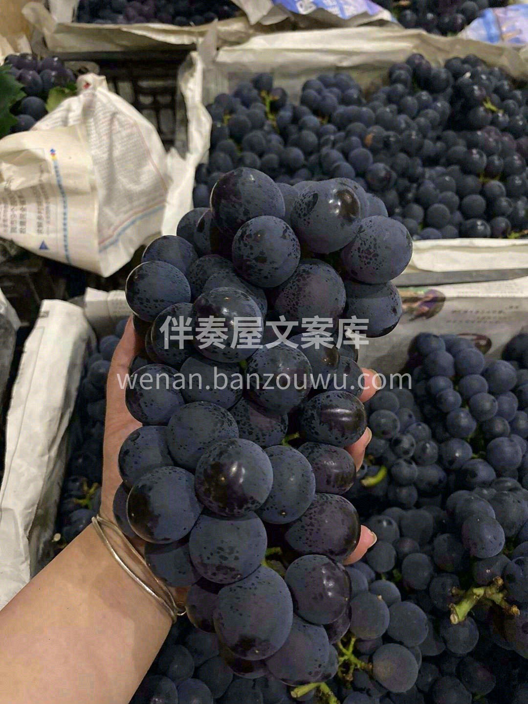 新鲜巨峰葡萄到货啦👉🍇 颗颗饱满泛着蓝紫 配图1