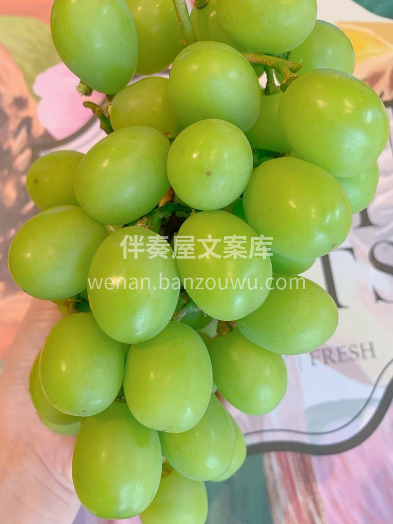 外表莹润饱满有光泽💎，颗颗都散发着诱人的 配图1