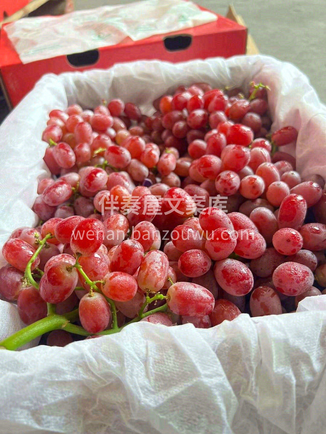无籽小红提每日必推荐💯 脆甜多汁🏊，皮薄 配图1