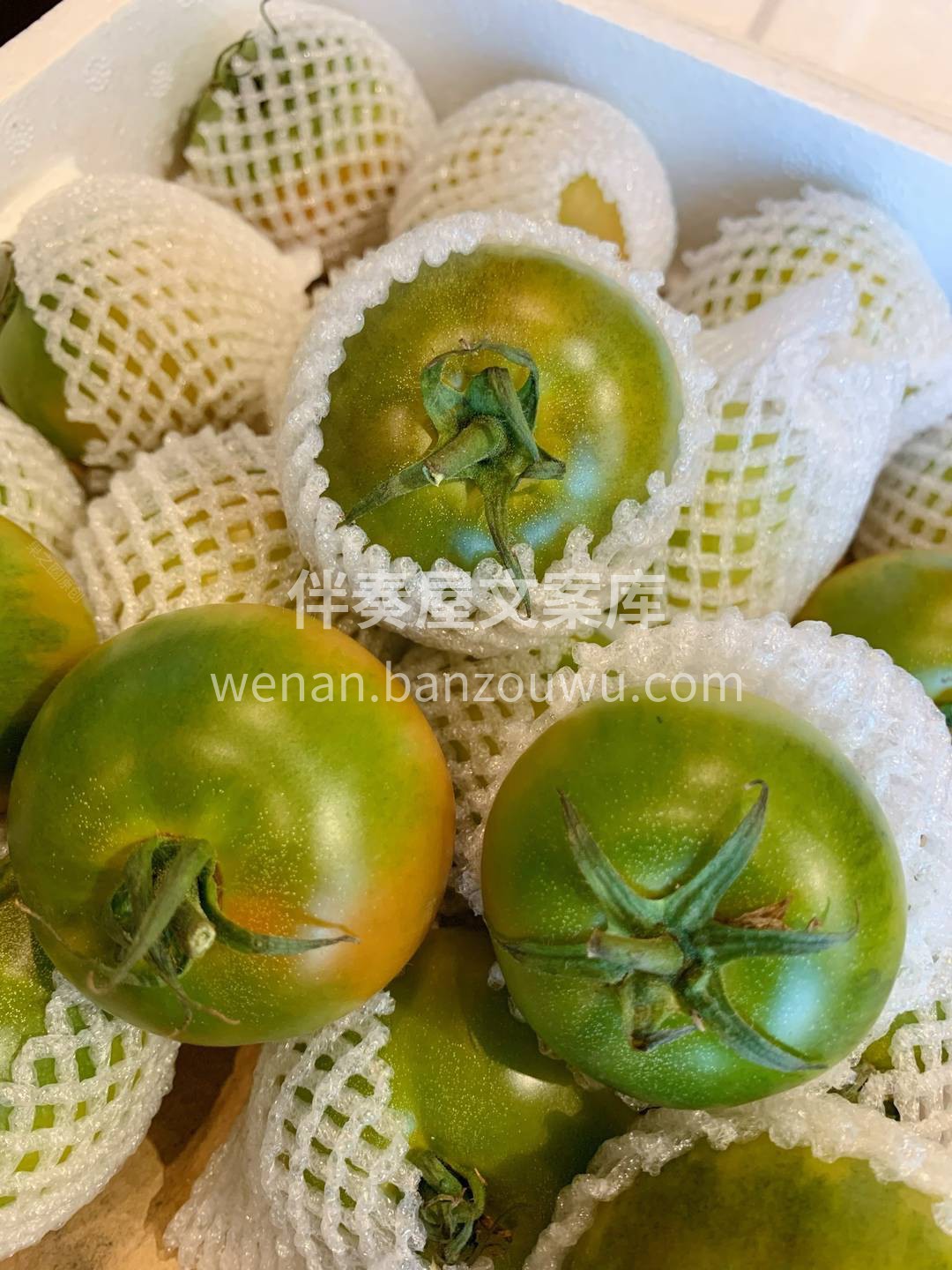 🍅身材娇小，果肉脆嫩，沙瓤多汁，生津止渴 配图3