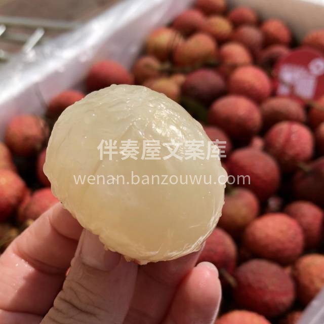 强烈推荐这款鸡嘴荔枝👇👇 可以称它是荔枝 配图3
